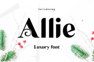 Allie: A Modern Display Font for Web Design