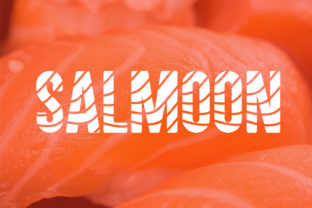 Salmoon: A Fresh Display Font for Branding