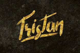 Tristan Typeface: Bold Display Fonts for Branding